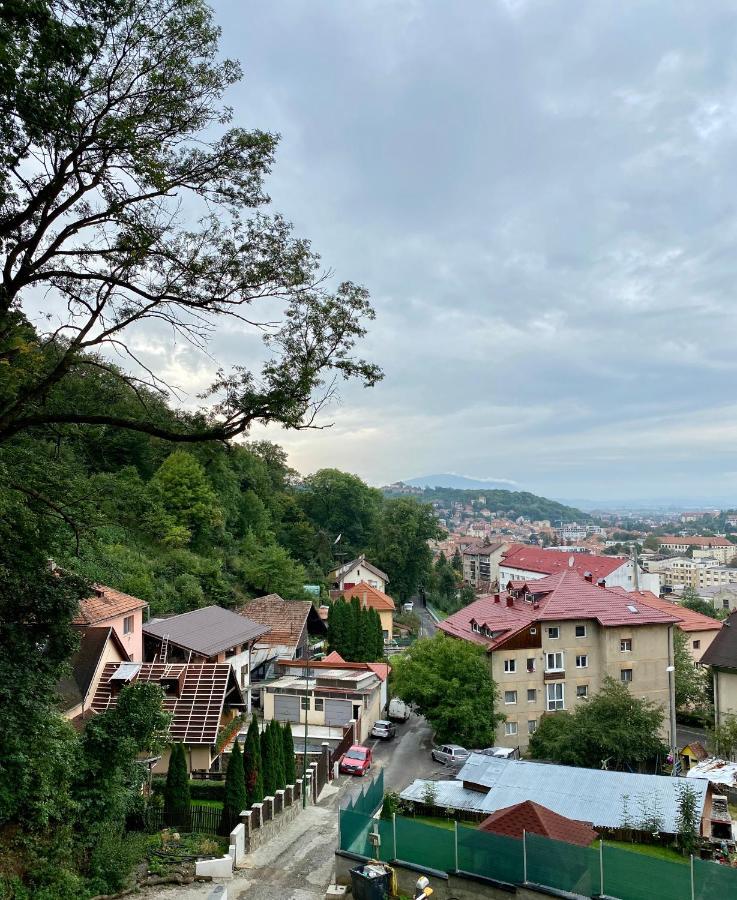 Nature Apartment - Minutes Away From The Old Town And Afi Mall Braşov Eksteriør billede