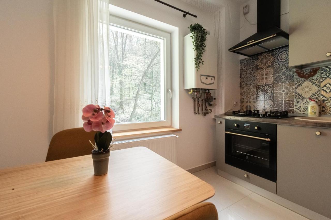 Nature Apartment - Minutes Away From The Old Town And Afi Mall Braşov Eksteriør billede